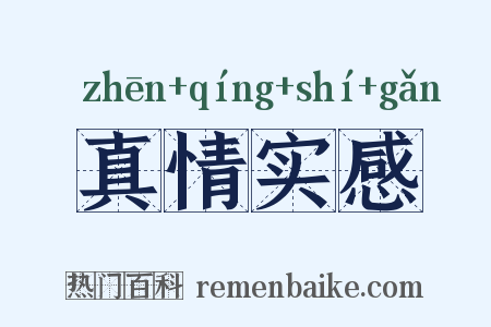 真情实感是什么意思的图片